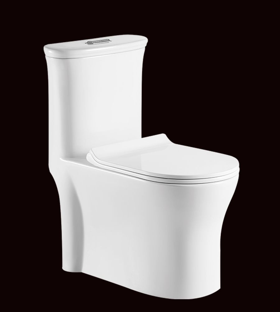 Agnese S-22 | One Piece Water Closet | EWC | Commode | Floor Mounted